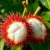 Rambutan – egzotyczny owoc pełen zdrowotnych właściwości