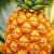 Ananas – wartości odżywcze i prozdrowotne właściwości owocu